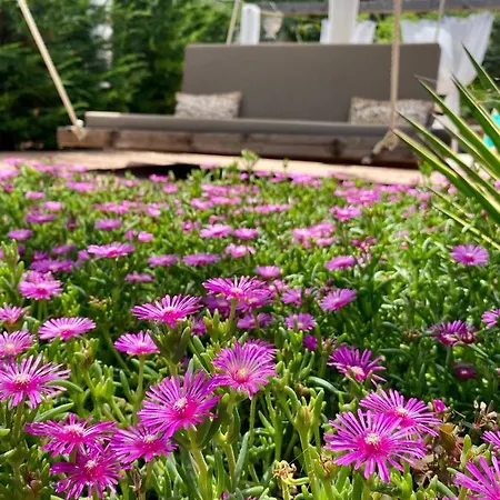 Appartamento Sunvilla With Hot Tub