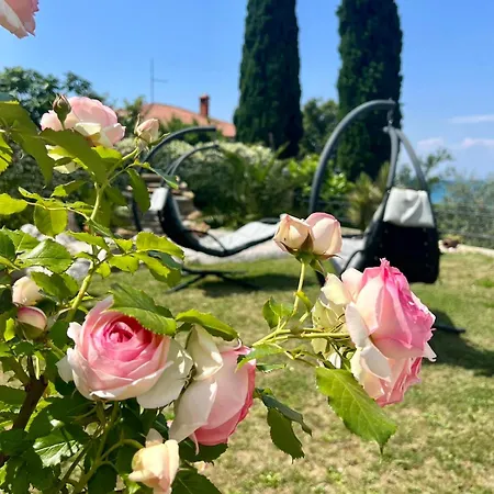 Sunvilla With Hot Tub * Capodistria